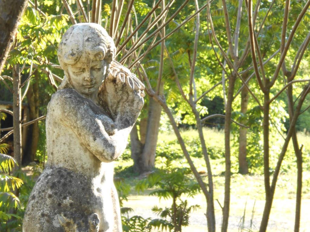 Clos du Bois Brard B&B Saumur Extérieur photo