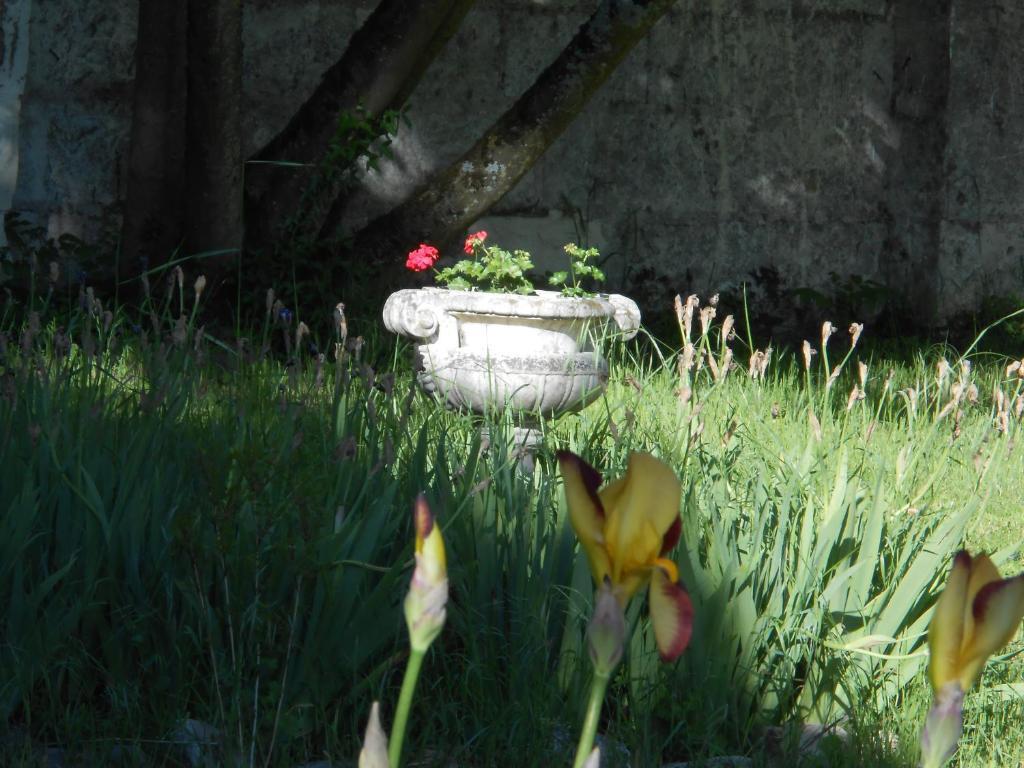 Clos du Bois Brard B&B Saumur Extérieur photo