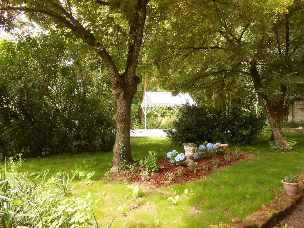 Clos du Bois Brard B&B Saumur Extérieur photo