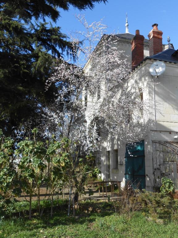 Clos du Bois Brard B&B Saumur Extérieur photo
